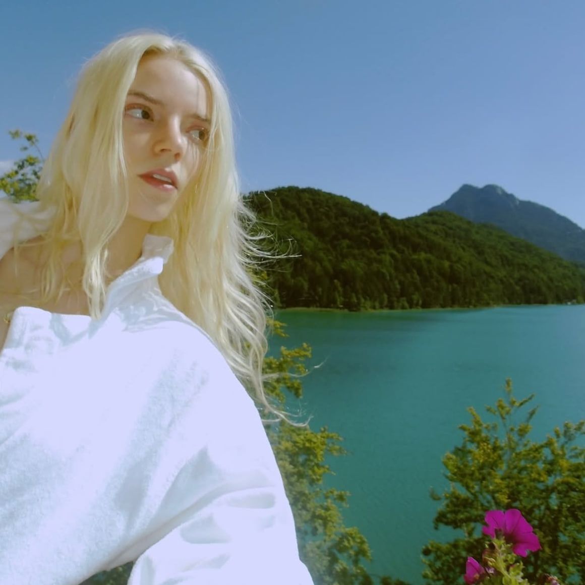 akiaura-