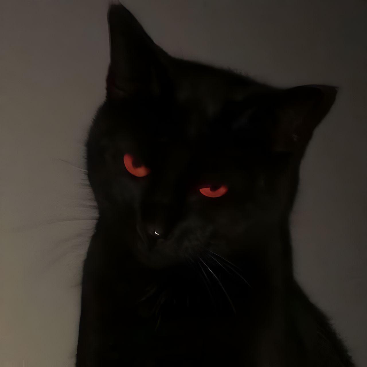 Blix1 avatar
