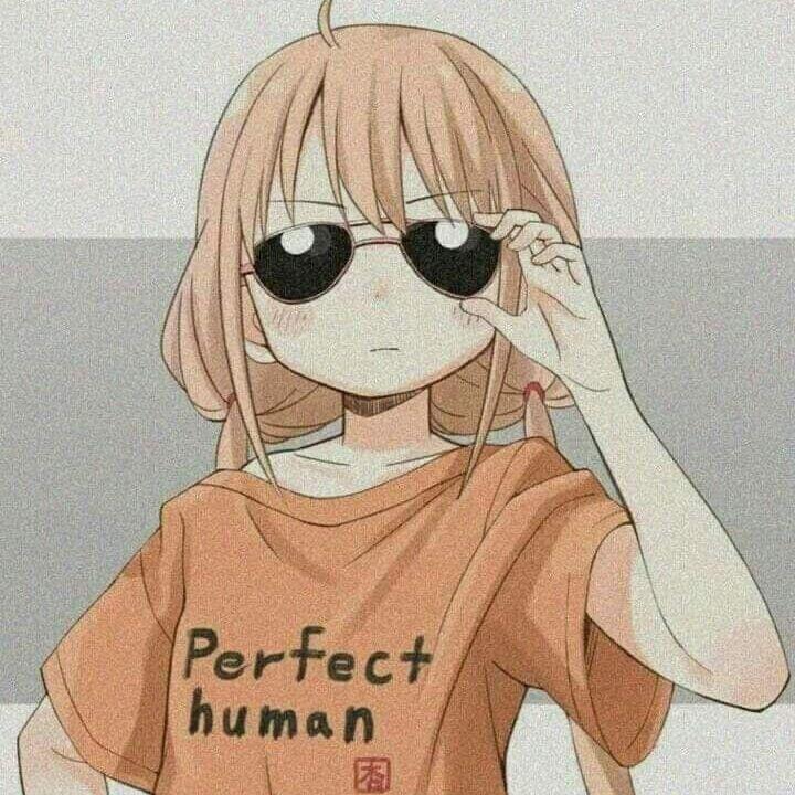 toronmt912 avatar