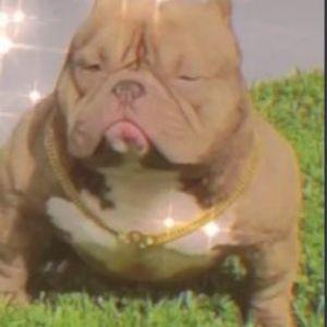 3x4mple avatar