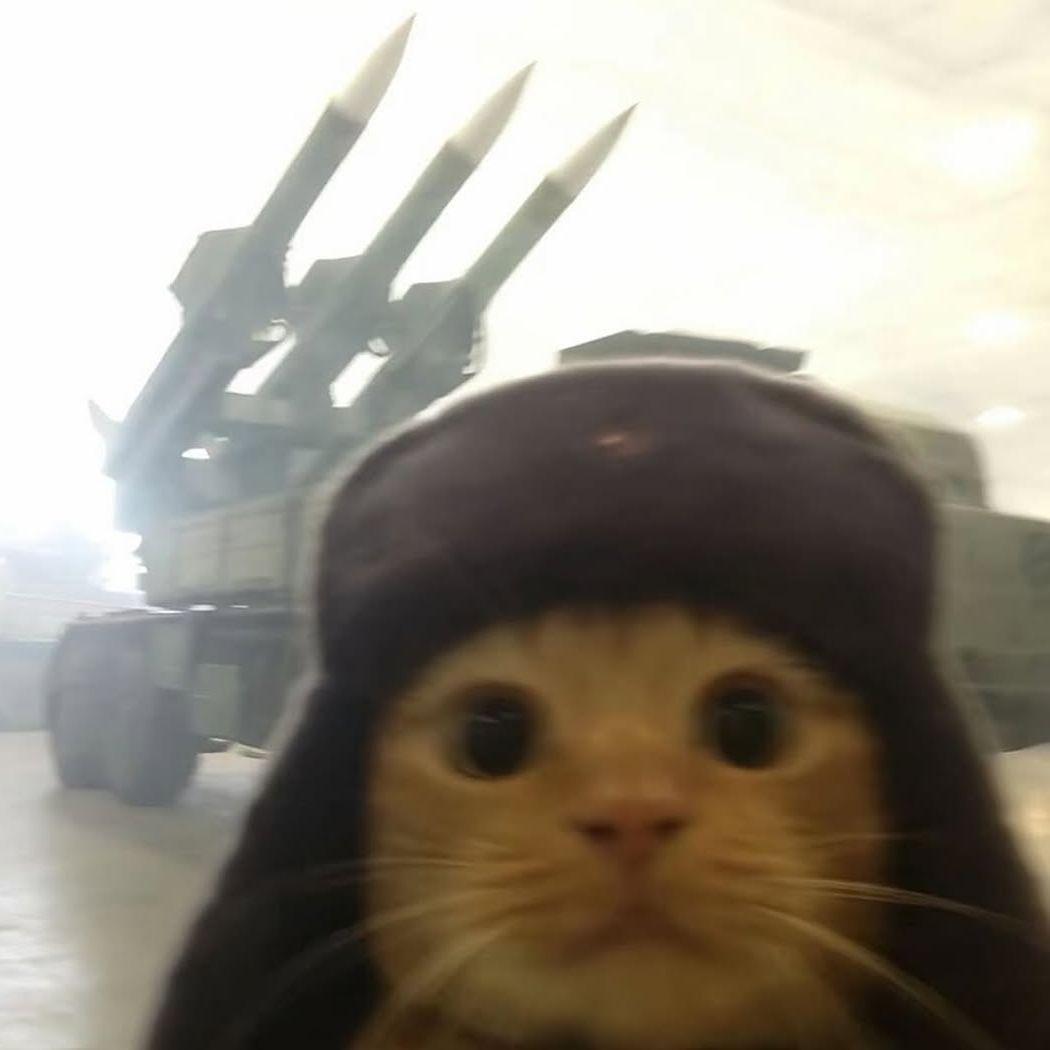 bobfinnarob avatar
