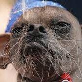 uglydog666