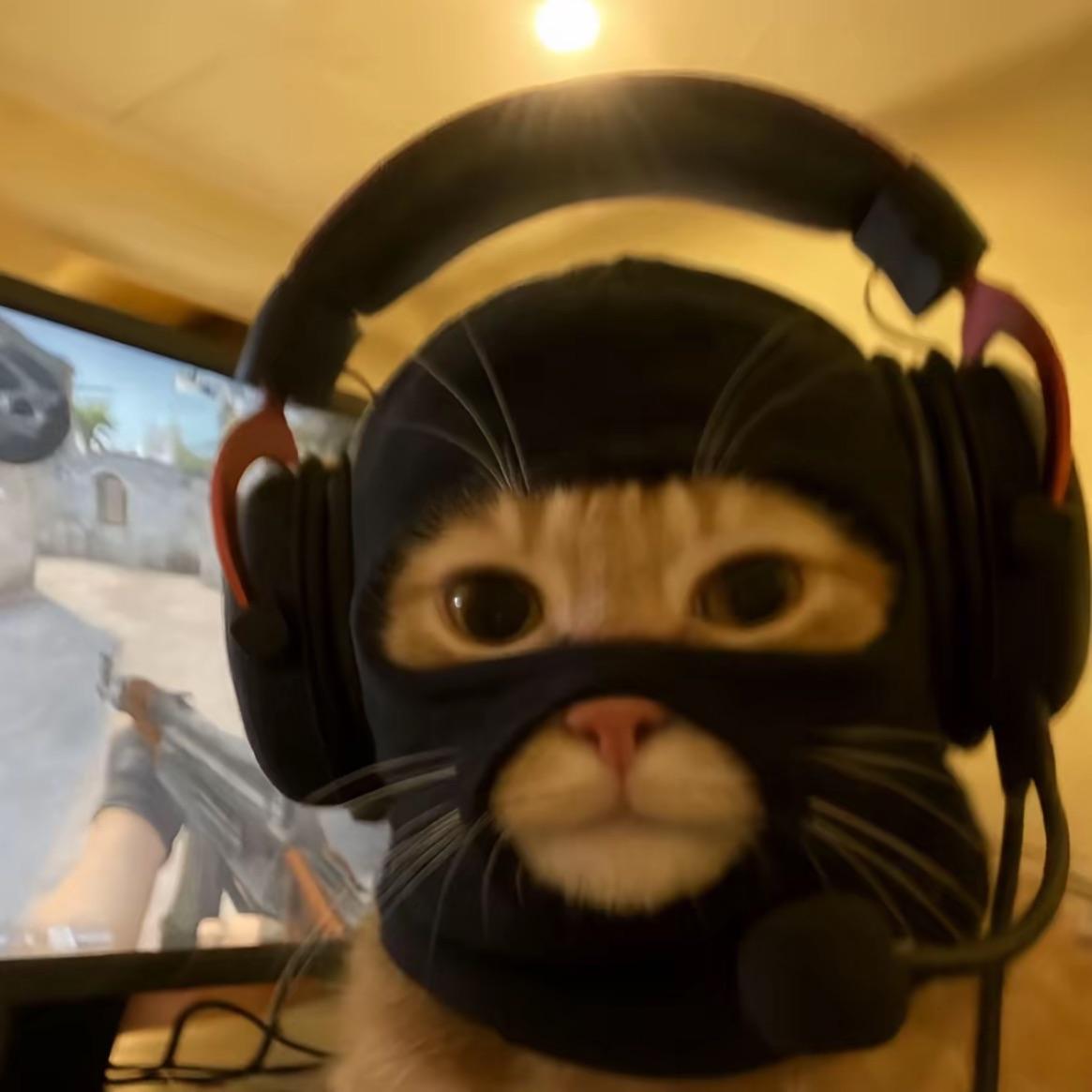 N1ghtz0r