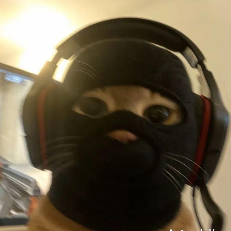 Picavsso avatar