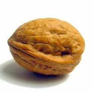 JustWalnut avatar
