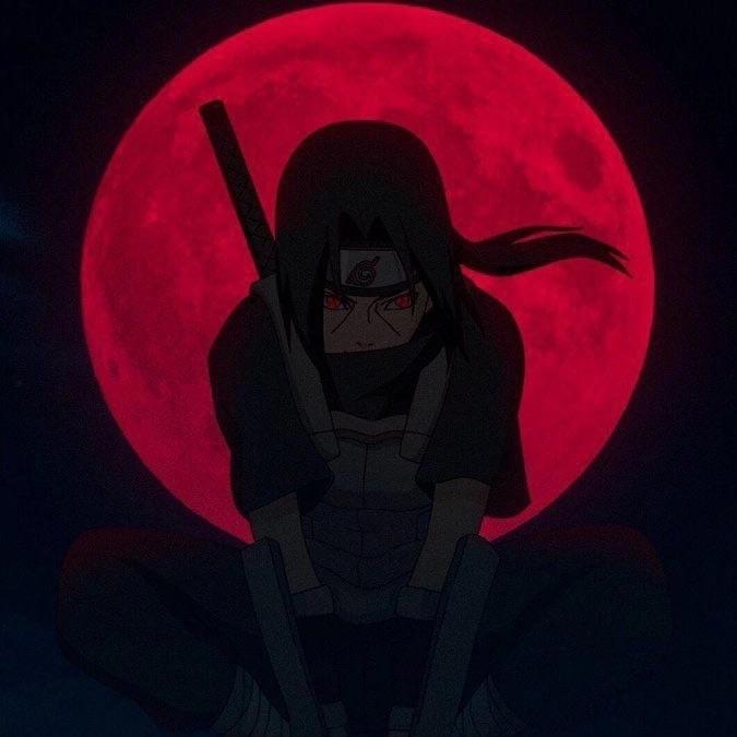 ne_xo4y1 avatar