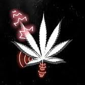 -kinezZi FACEIT avatar