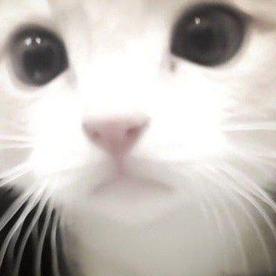 onlys1emens avatar