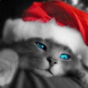 PsYcHoOo-_- FACEIT avatar