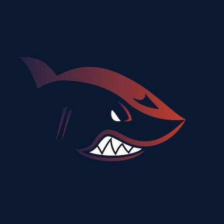 team_SHARkHEAd