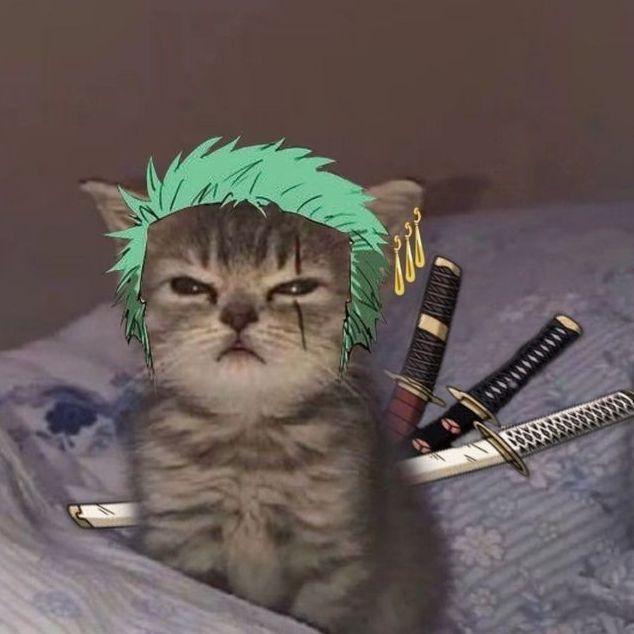 Pazya avatar