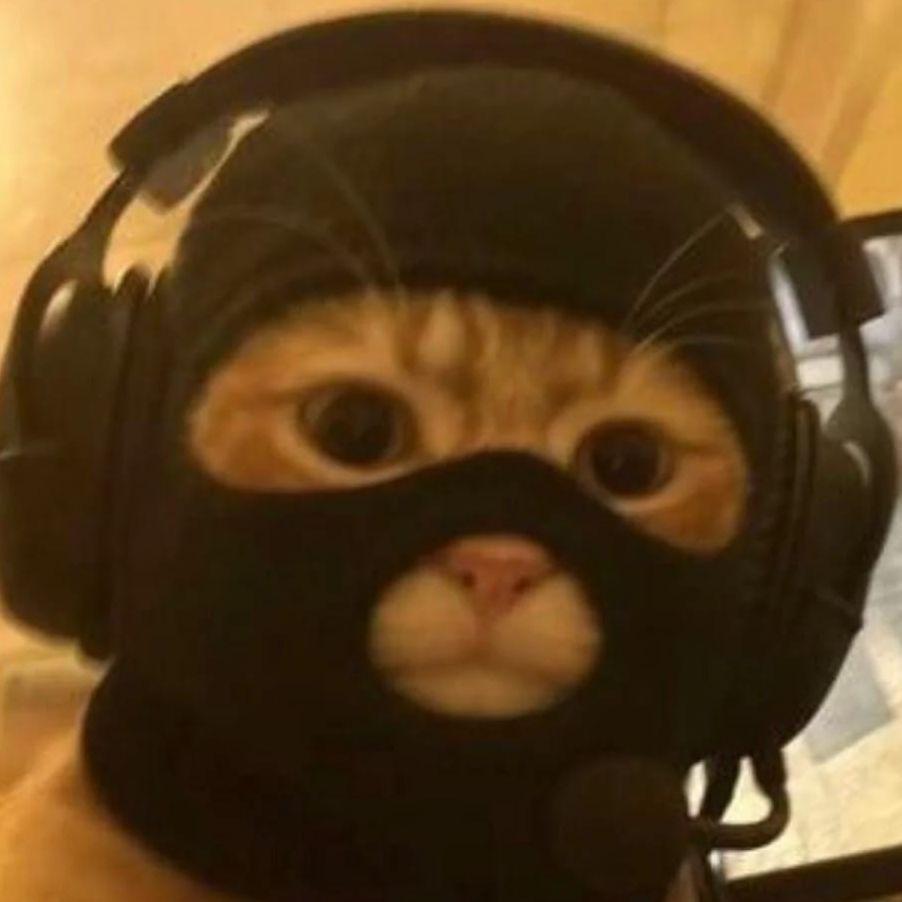 rbtzord avatar