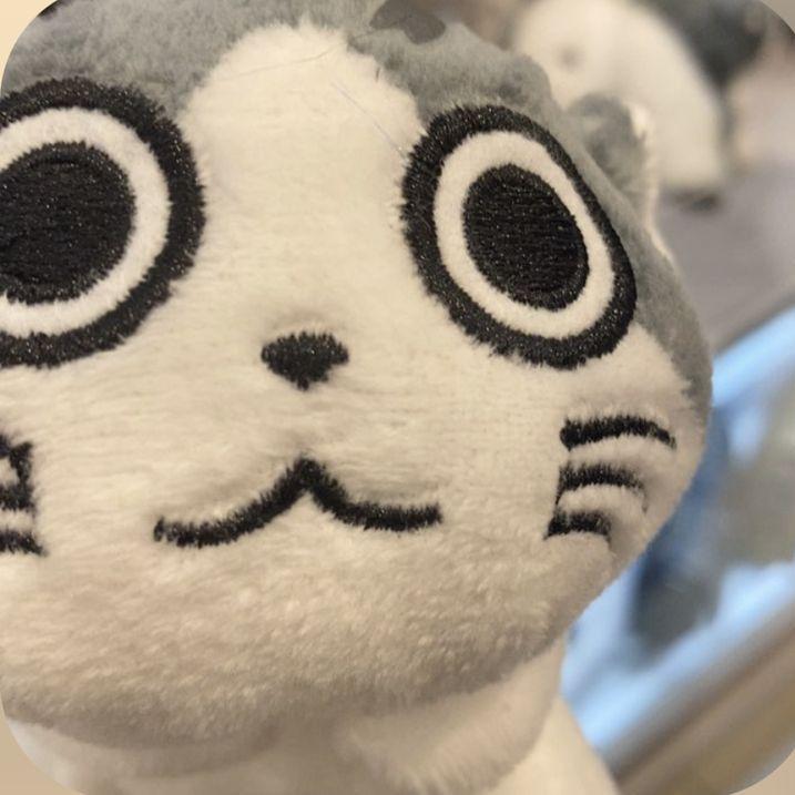txkuty avatar