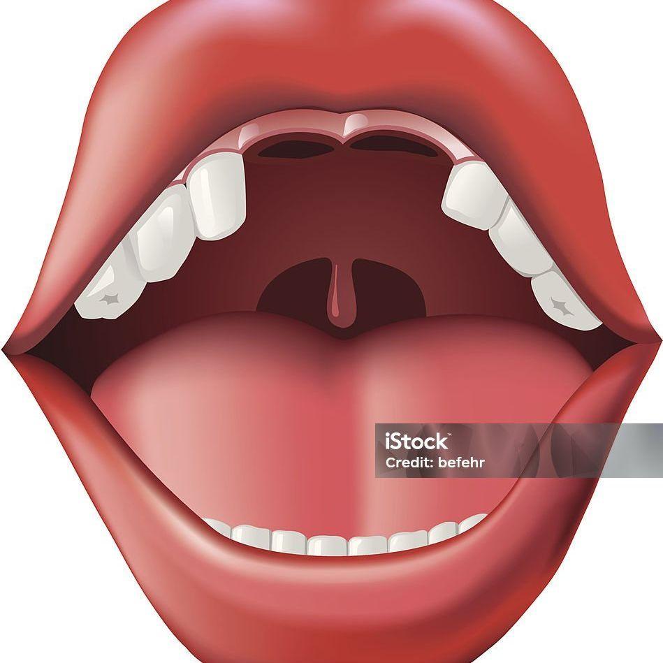 Snerk228 avatar