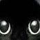 farzis avatar