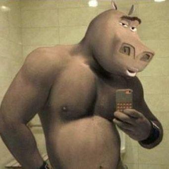 __Unicorn___ avatar