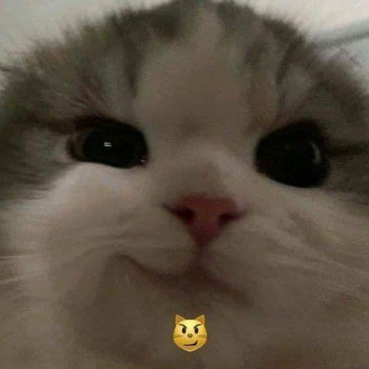 m3y avatar