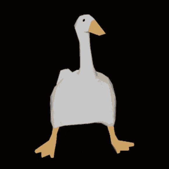 JlNkR