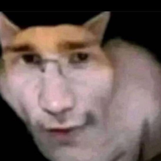 beastmo0de avatar