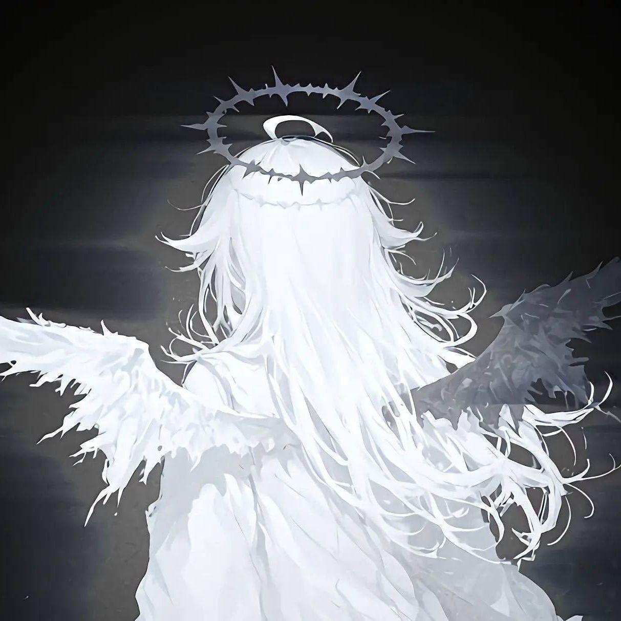 whyscared66 avatar