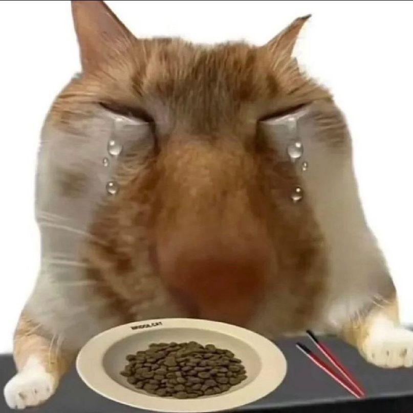 Slivo4niyKot avatar