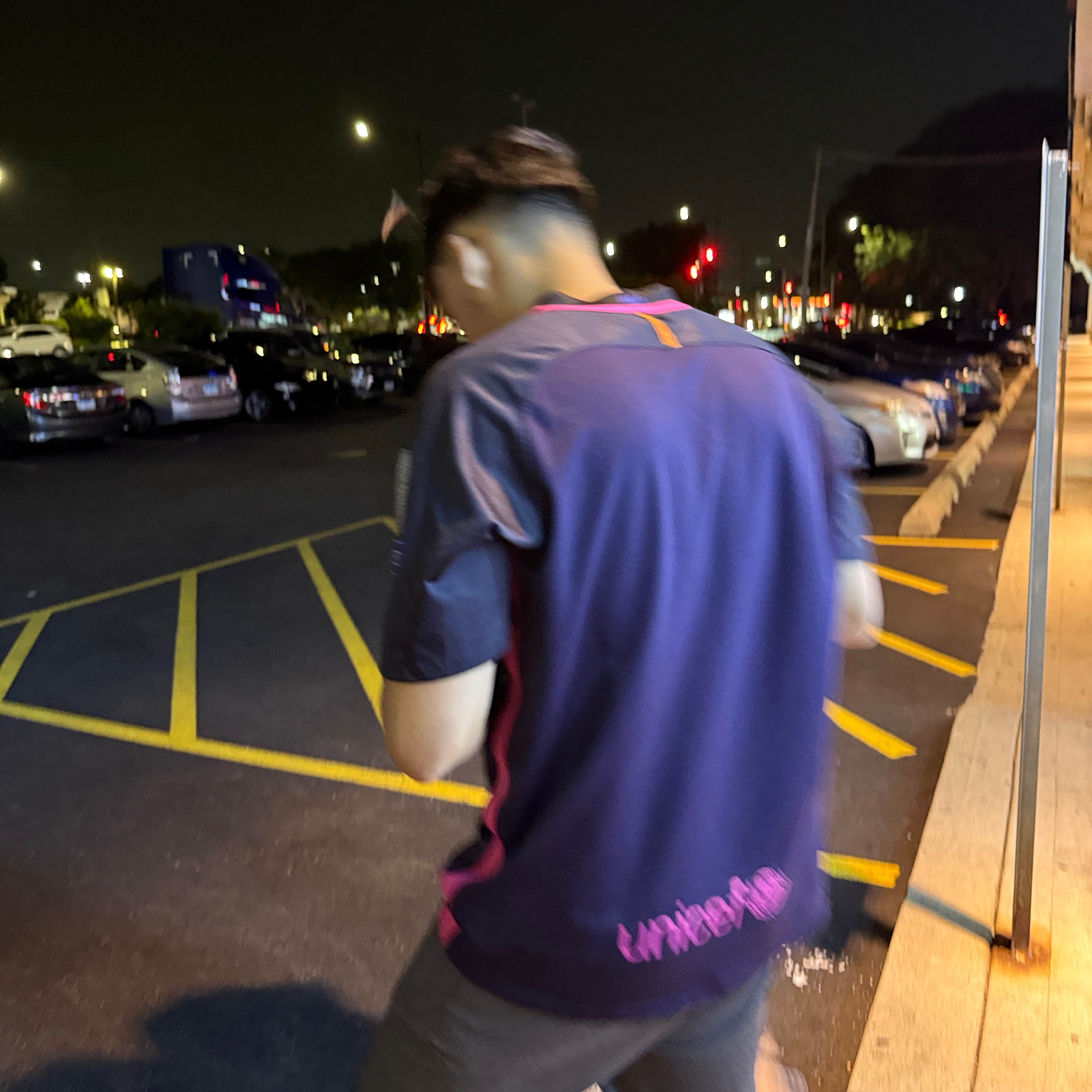 NEMESI_X