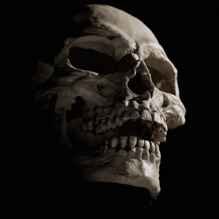 SkuLdaa