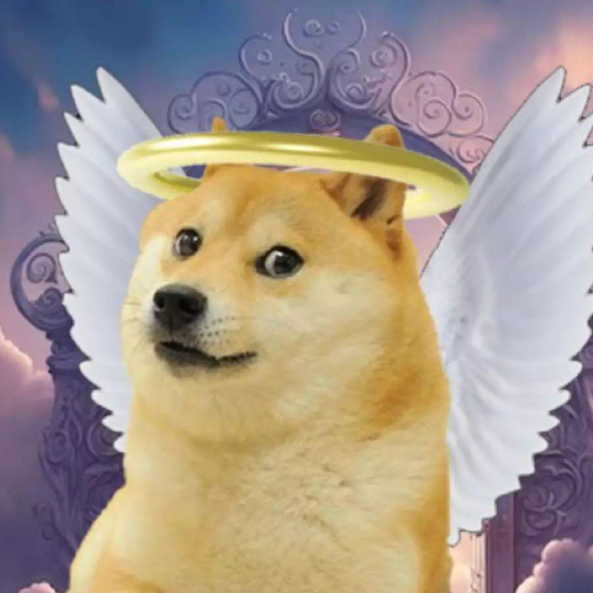 Sandel1131 avatar