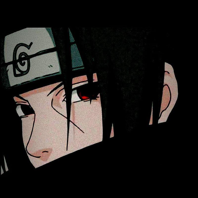 fgeo avatar