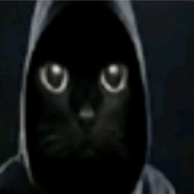 DENGOS_ avatar