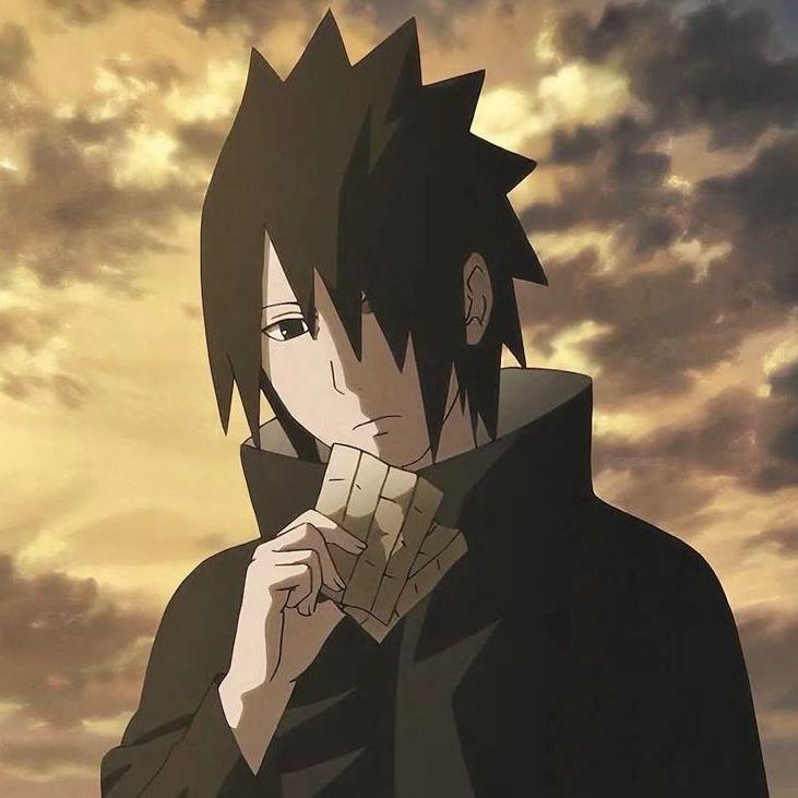 satugiku avatar