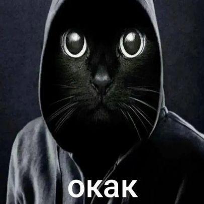 Sat0ooo avatar
