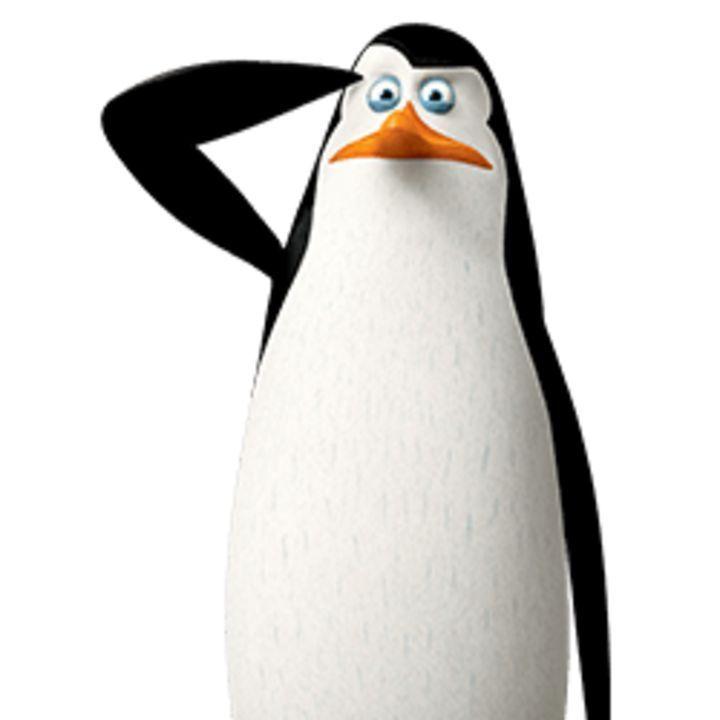 malichava avatar