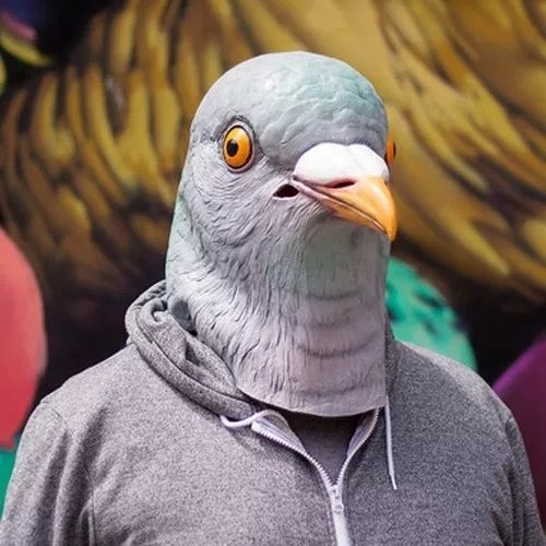 Pombo_kkk