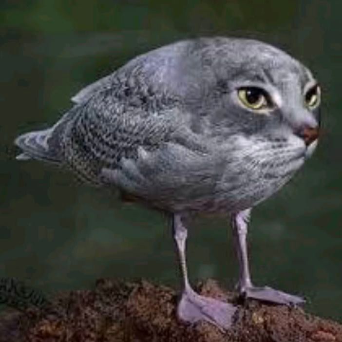hlepstulejka