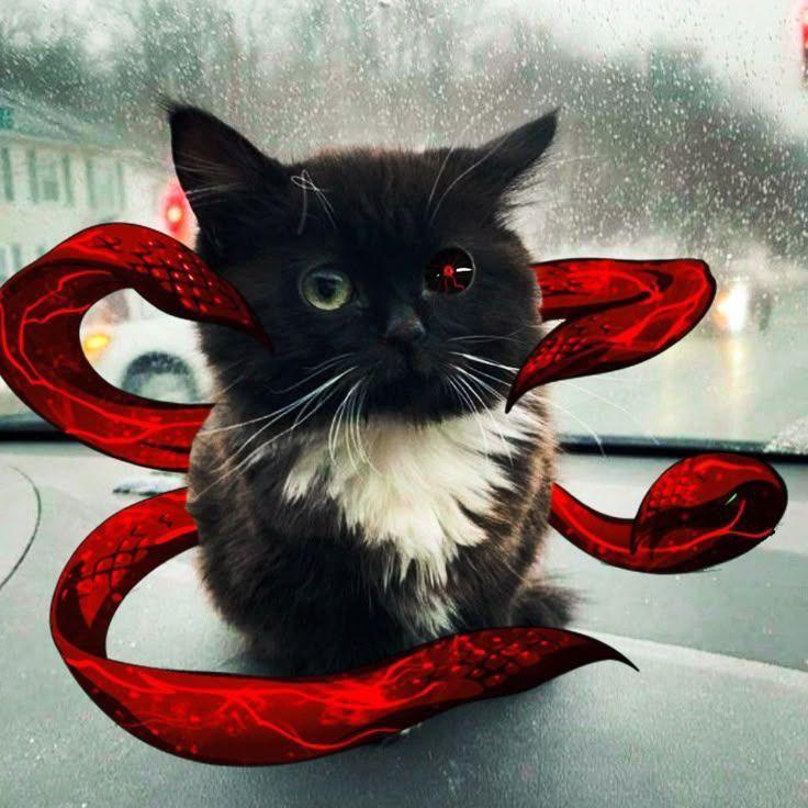 _Impero_ avatar