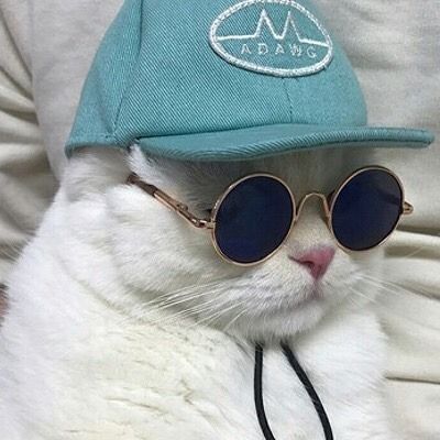 _M1NT-