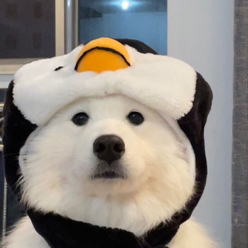 MiaoSSui