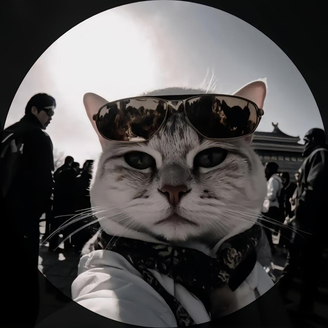 AzlkBraT avatar