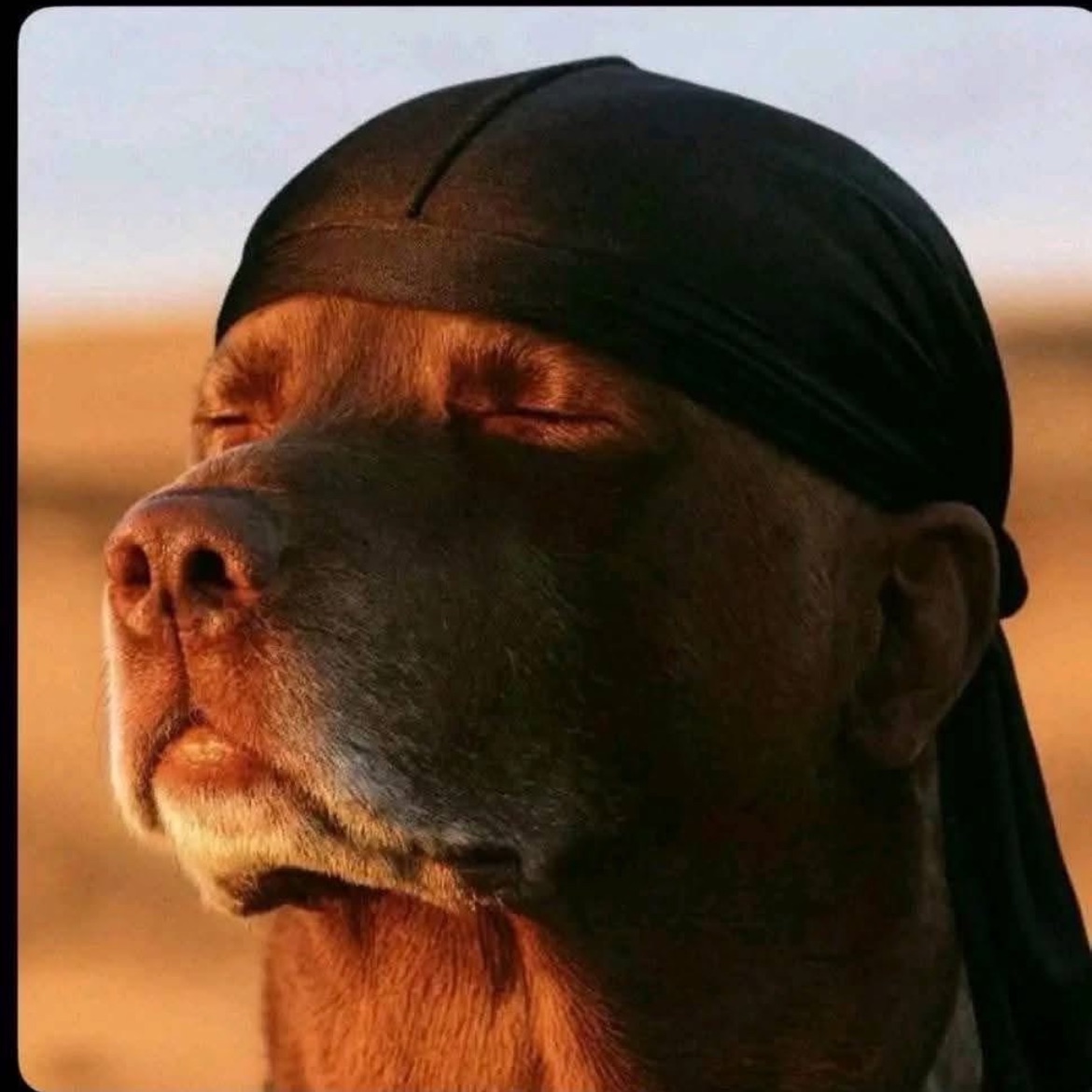 Lloydox