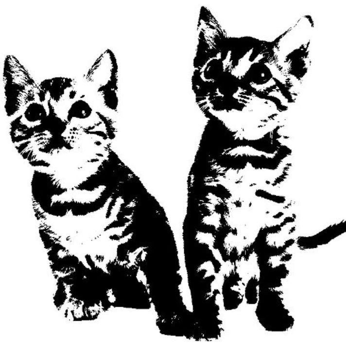 seventynine9 avatar