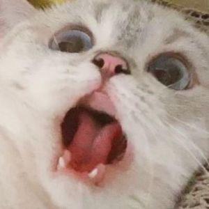 jstccc