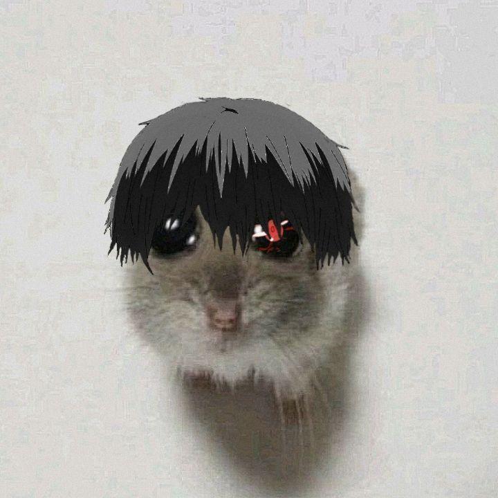 DANZORIWE666 avatar
