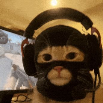 j6ty FACEIT avatar