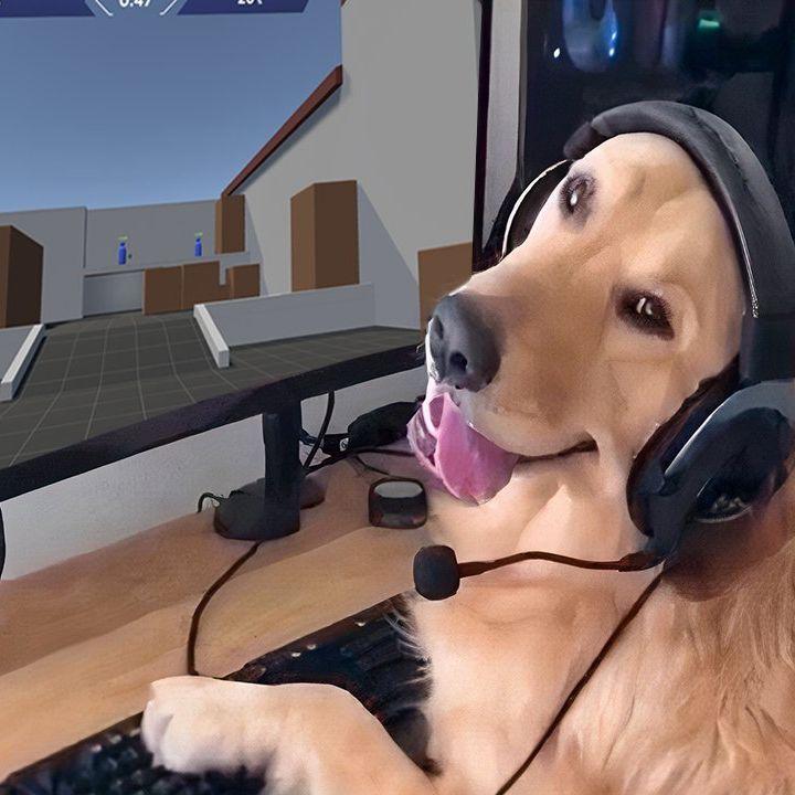Raske avatar