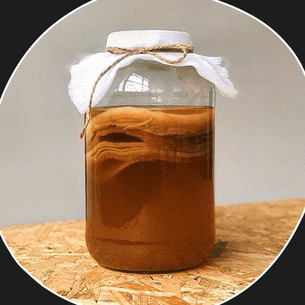 Kombucha2137
