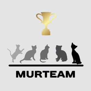 murteam