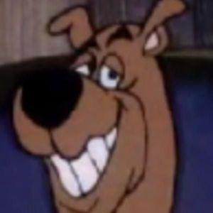 Gap4k avatar