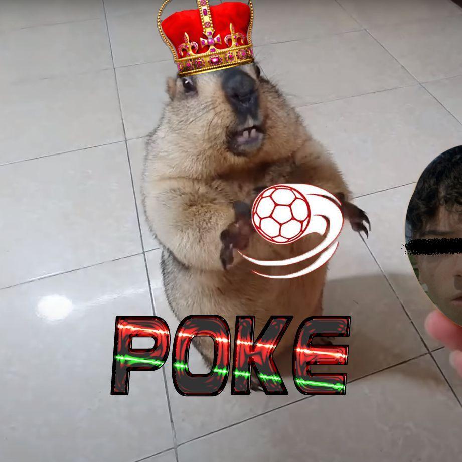 Player PoKeceauu avatar