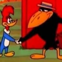 -picapau-